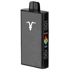 IGNITE 25.000PUFFS